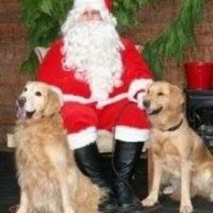 Meet your Posher, Tove